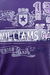 Одежда мужская Футболка WILLIAMS WILSON (1STW/16.2). Купить за 5450 руб.