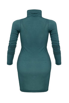 Одежда женская Водолазка NORTHLAND (US0223/11.2). Купить за 2800 руб.
