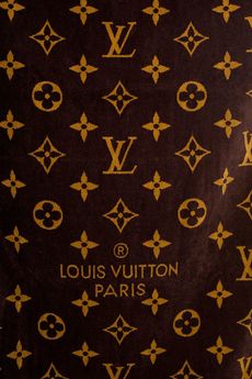 Аксессуары женская Разное LOUIS VUITTON (B50195/17.2). Купить за 25900 руб.