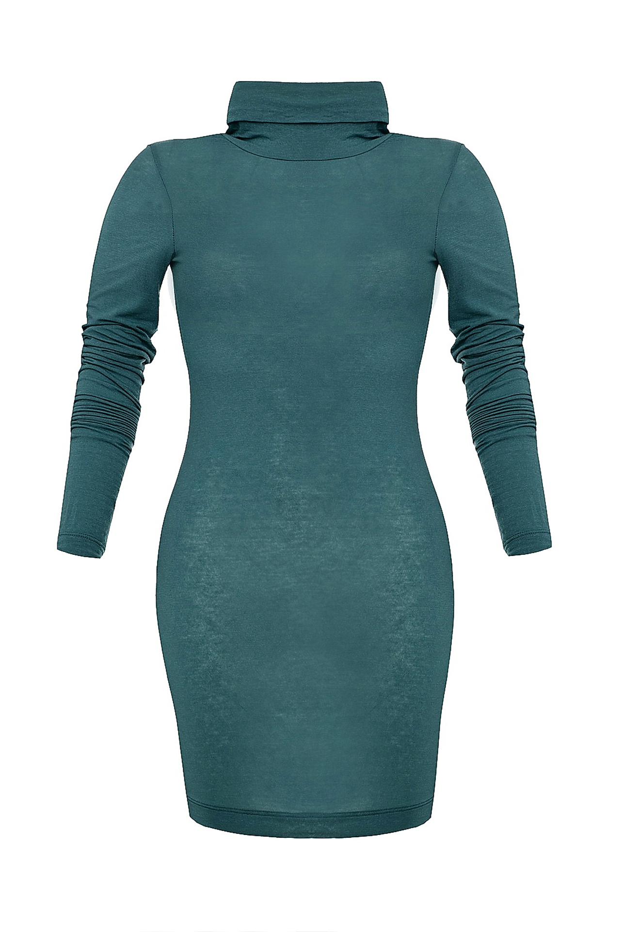 Одежда женская Водолазка NORTHLAND (US0223/11.2). Купить за 2800 руб.