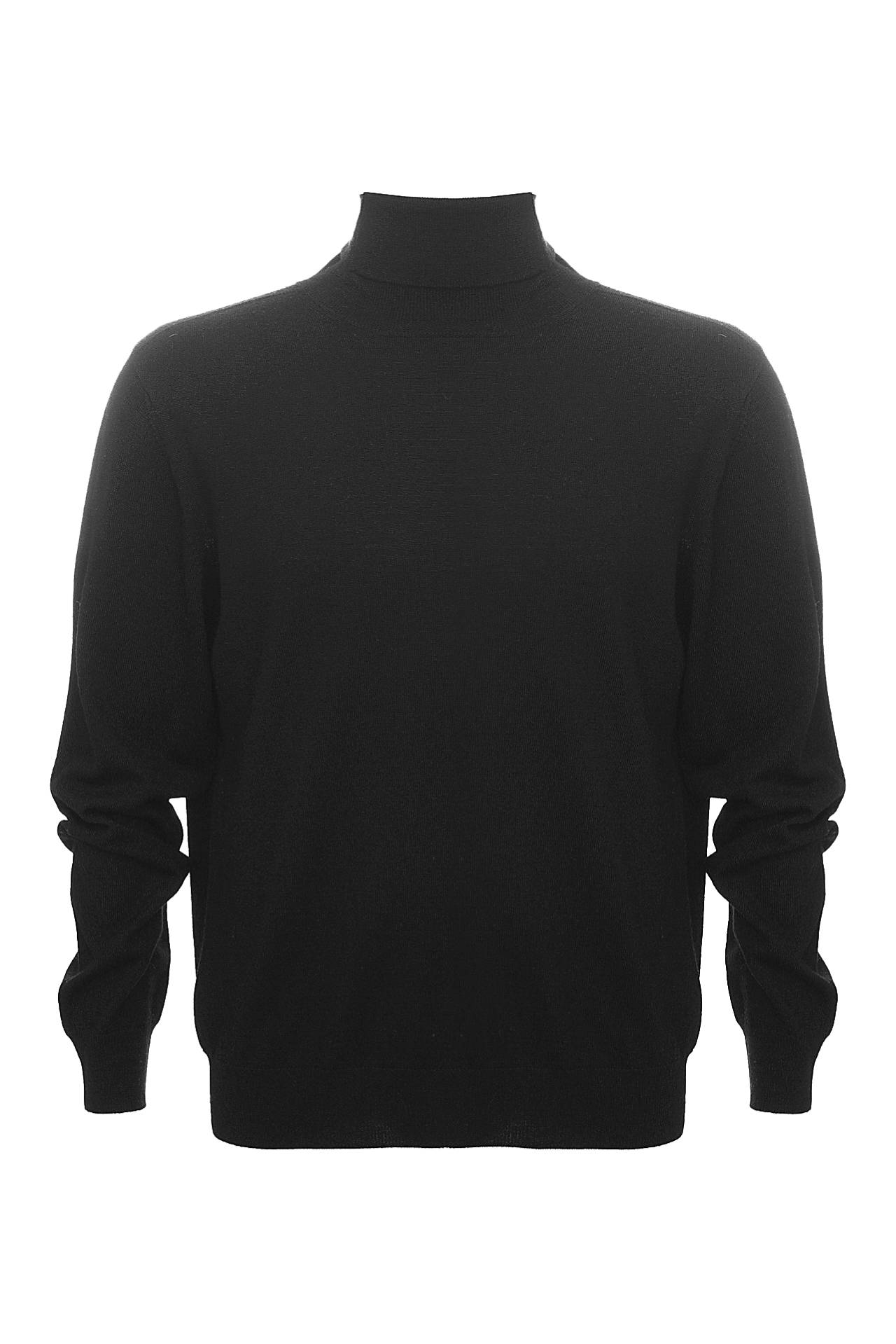 Одежда мужская Водолазка PLUSULTRA (DV1731101/15.1). Купить за 15900 руб.