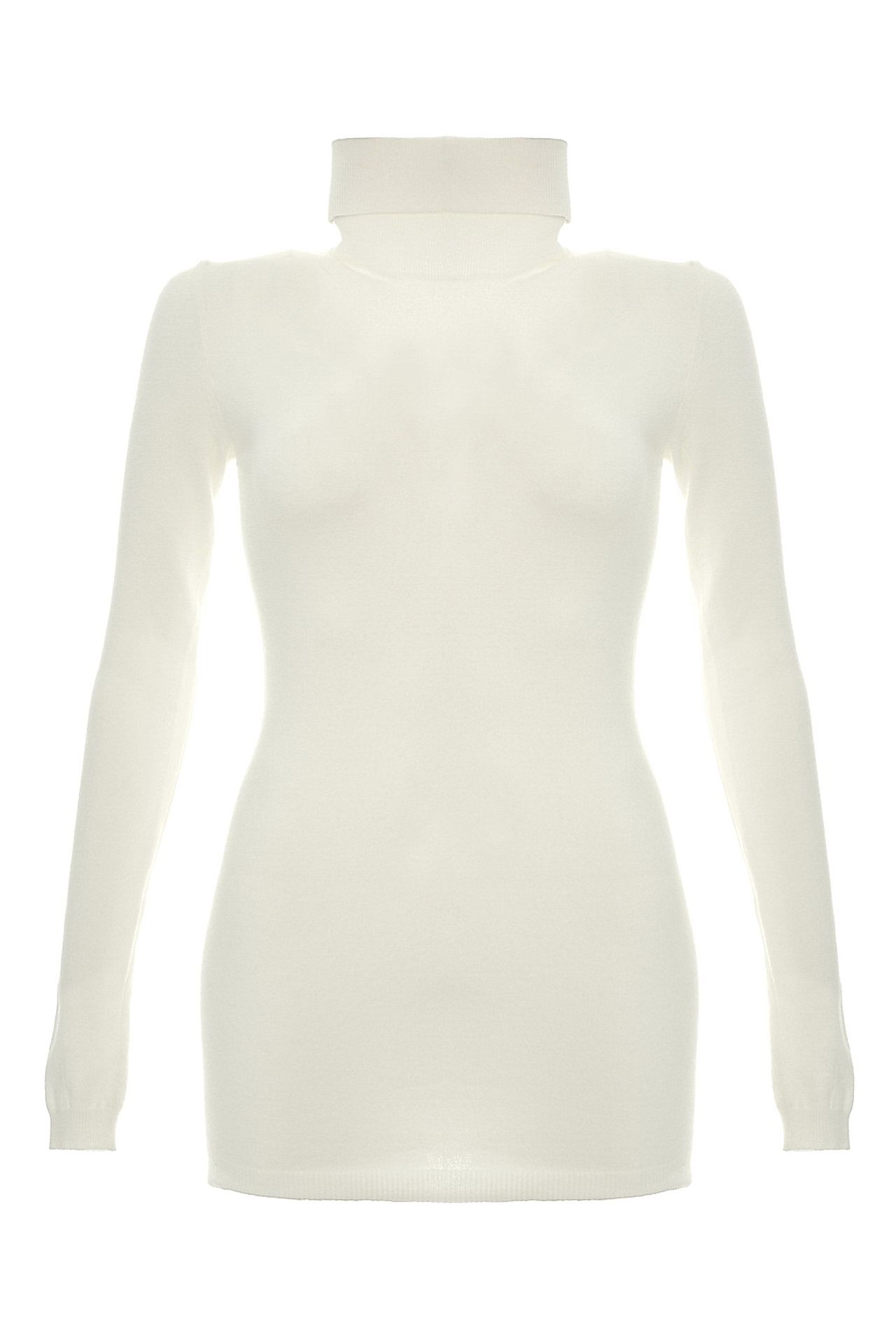 Одежда женская Водолазка NORTHLAND (2027D/13.1). Купить за 3120 руб.